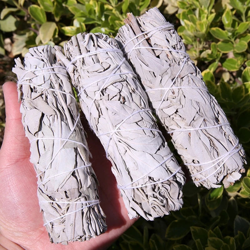 Sauge Blanche Sacrée – Rituel de Protection & Énergie Positive