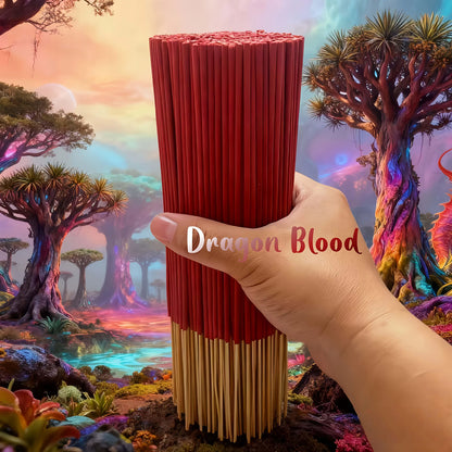 Encens Sang de Dragon – bâtons parfumés pour purification, yoga et méditation