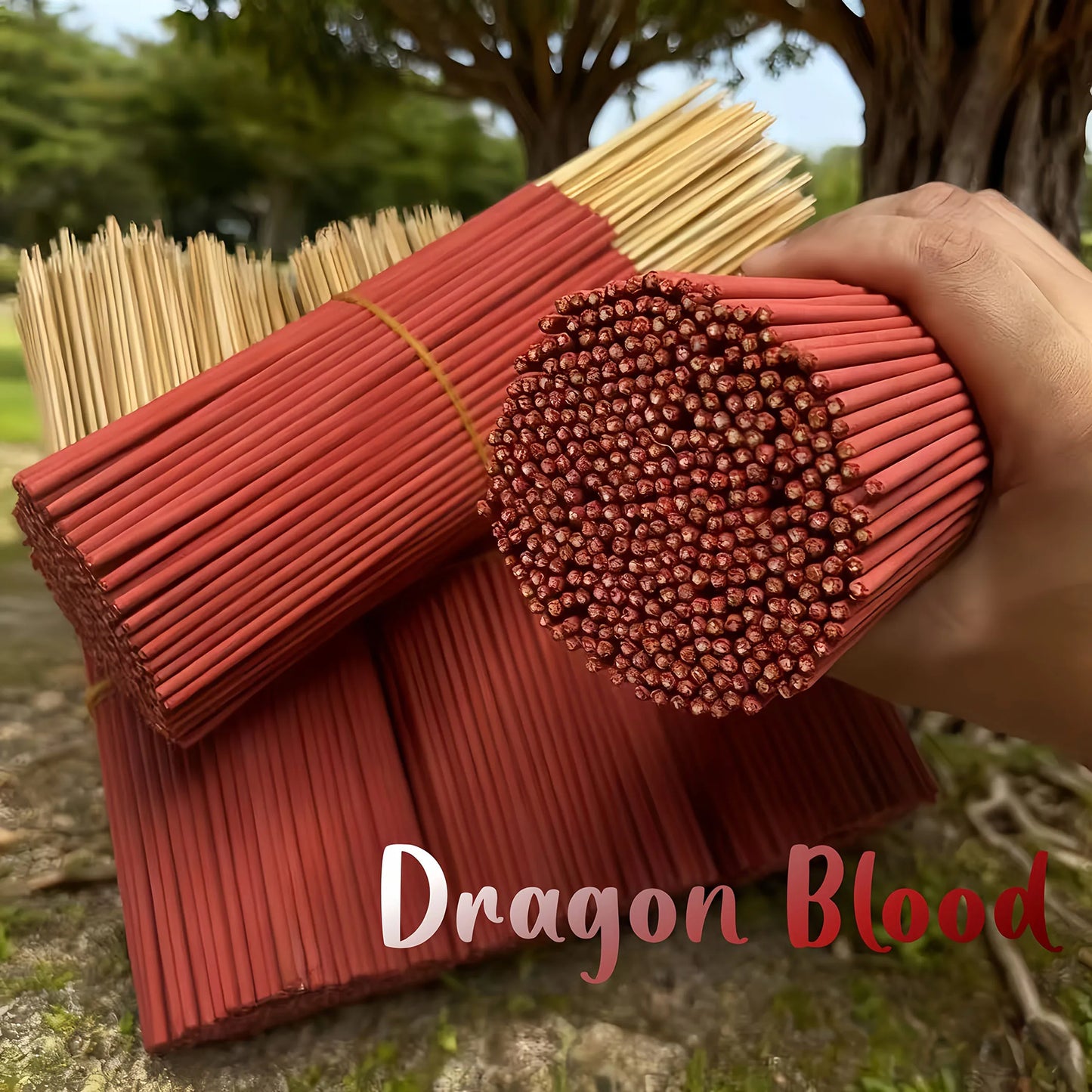 Encens Sang de Dragon – bâtons parfumés pour purification, yoga et méditation
