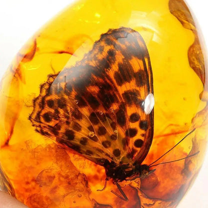 Pendentif papillon en ambre 5 x 4 cm – Pierre décorative pour bijoux DIY, loisirs créatifs et décoration maison