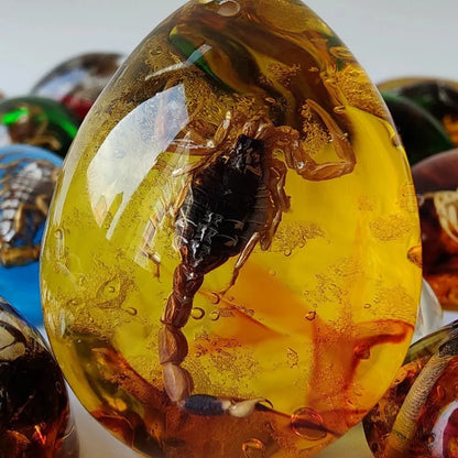 Collier Pendentif Scorpion en Résine Ambre Artificielle – Charme Décoratif Fait Main avec Insecte Naturel